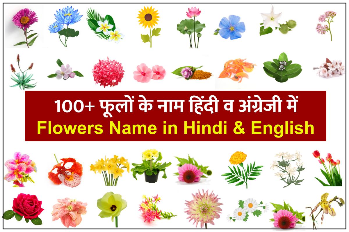 Flowers Name In Hindi And English