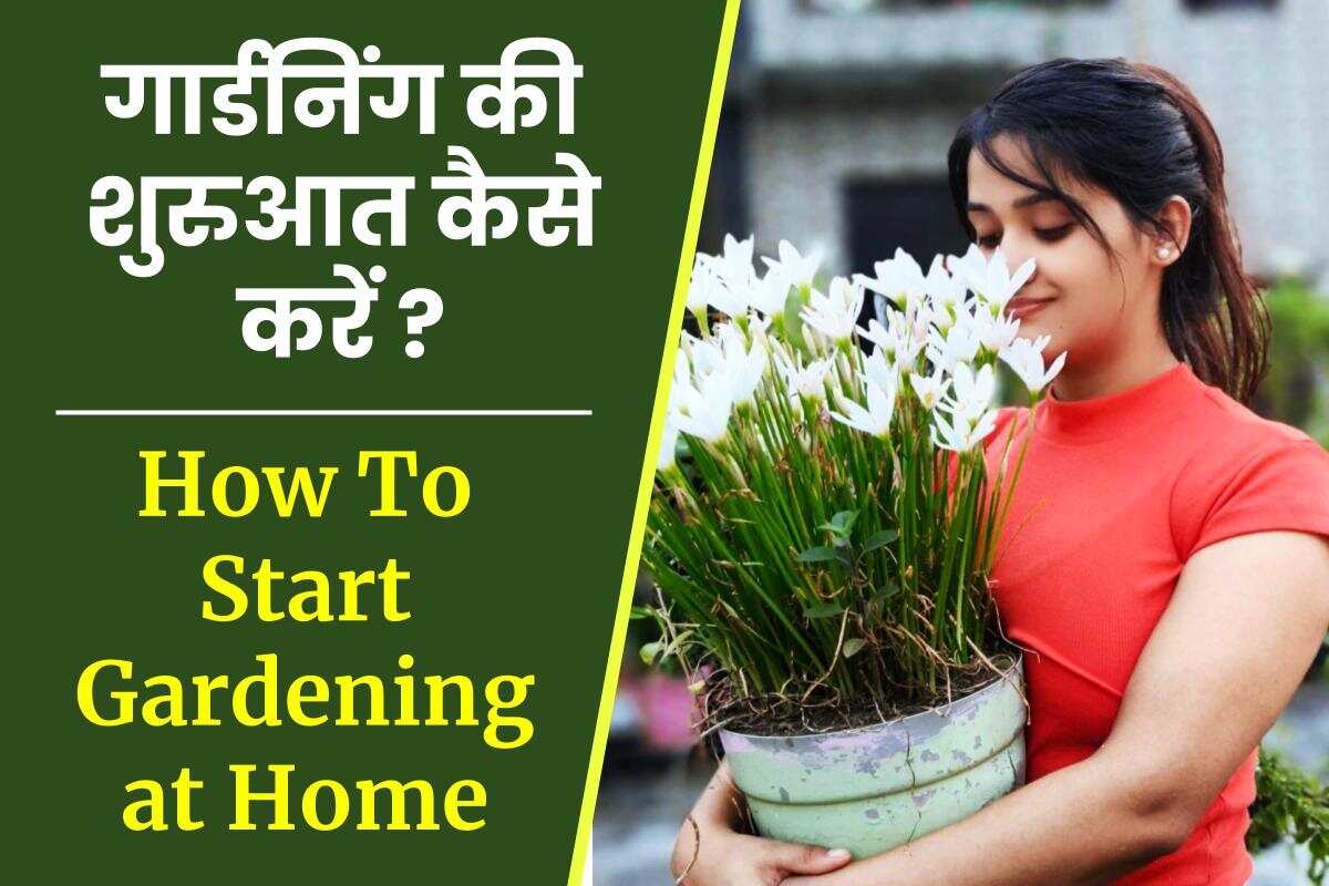 गार्डनिंग की शुरुआत कैसे करें ? How to start home Gardening in Hindi